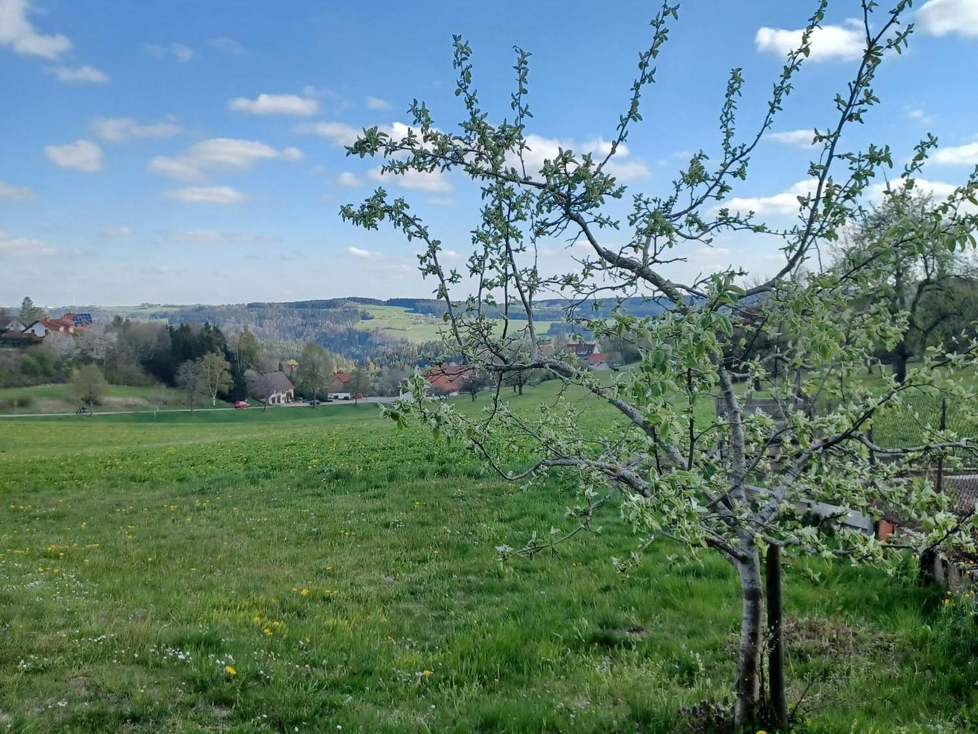 Landhaus Alpenpanorama Loffingen Bagian luar foto