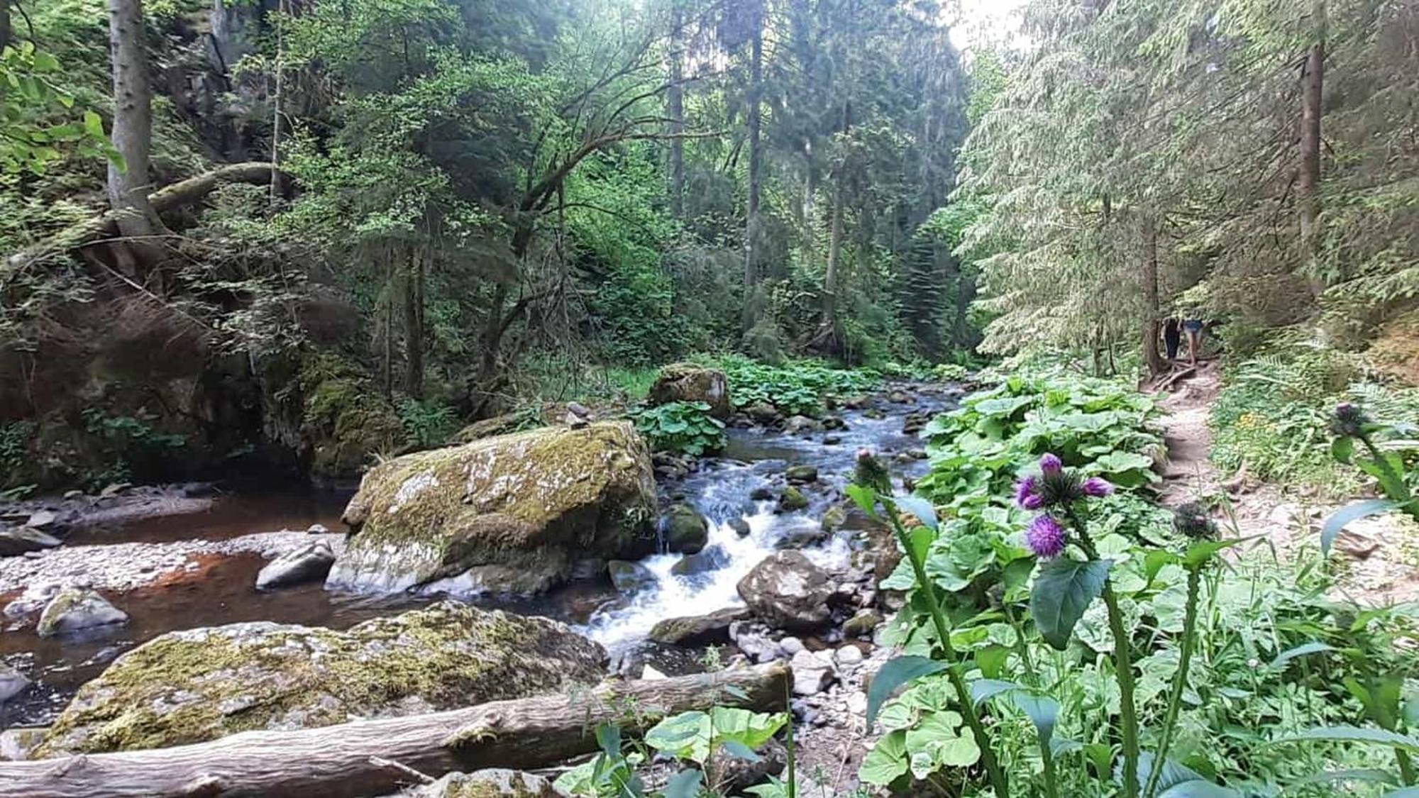 Landhaus Alpenpanorama Loffingen Bagian luar foto